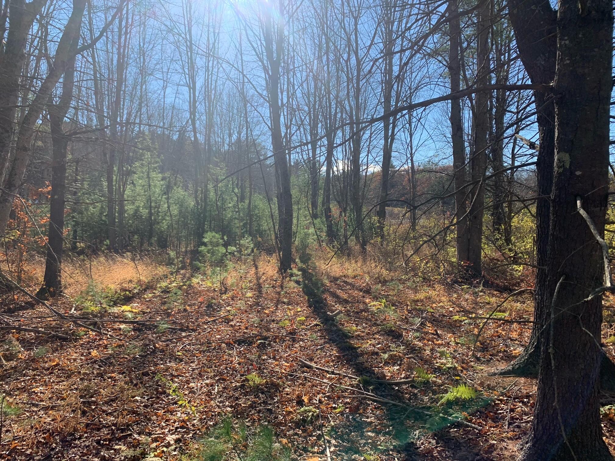 545 -B Old Bath Road Brunswick ME 04011