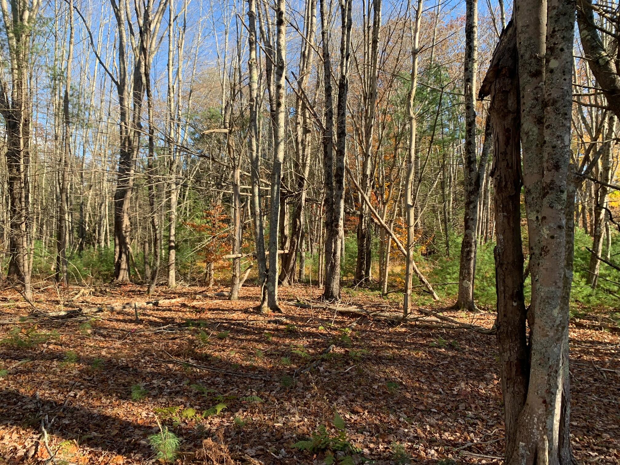 545 -B Old Bath Road Brunswick ME 04011