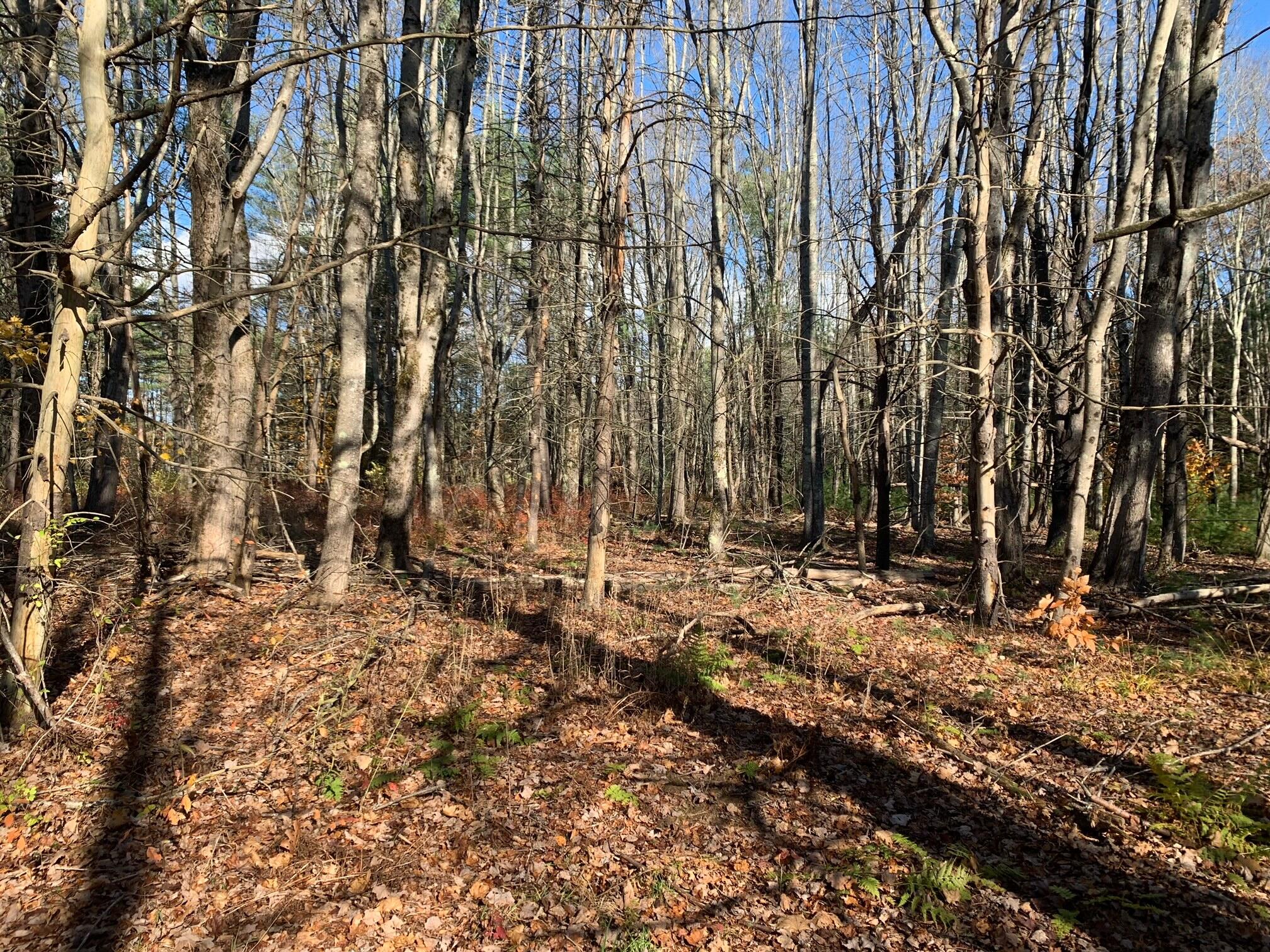 545 -B Old Bath Road Brunswick ME 04011