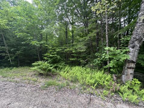 R13-023-b Hobbs Road Greenwood ME 04255