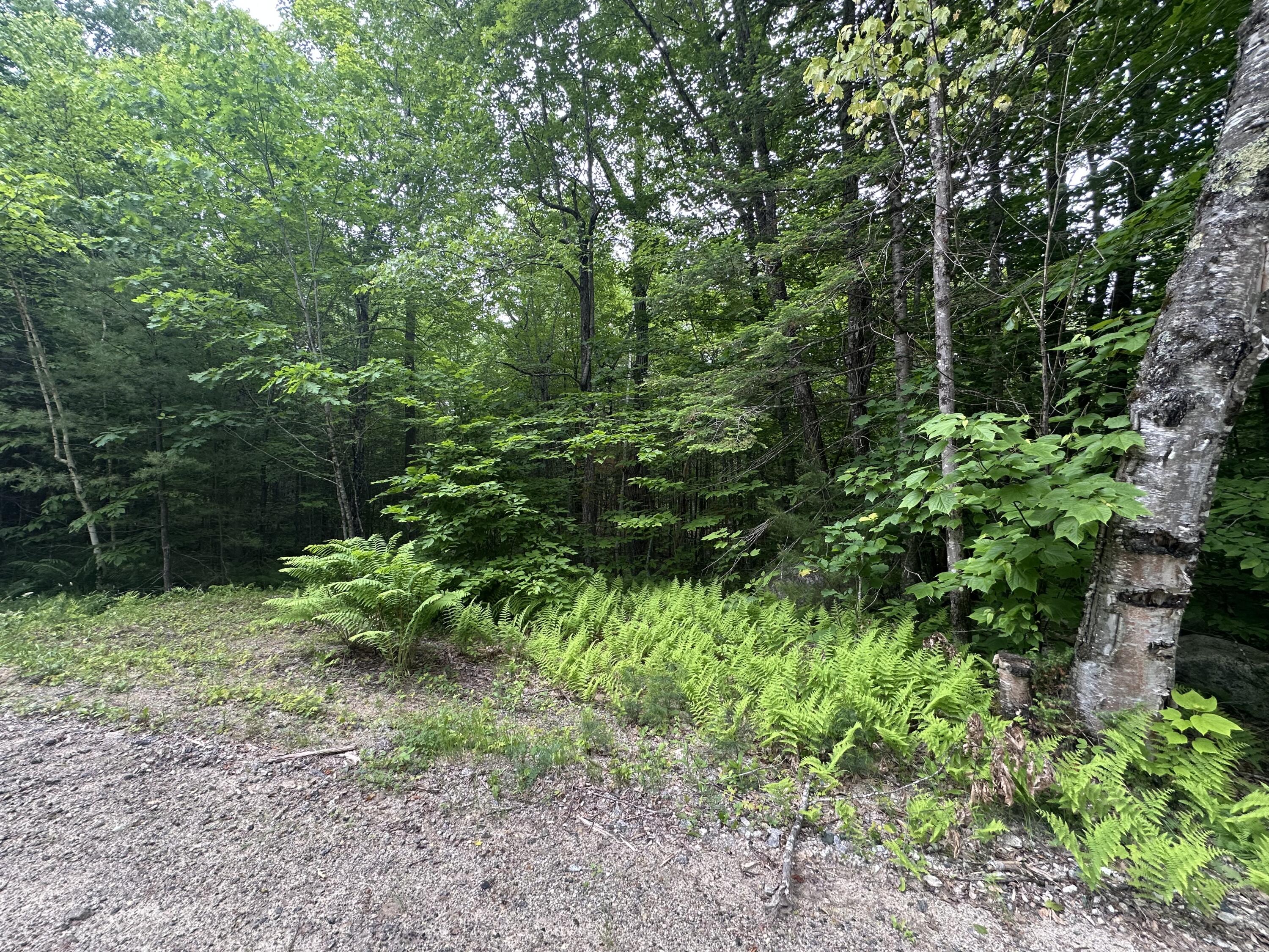 R13-023-b Hobbs Road Greenwood ME 04255