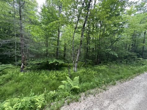 R13-023-b Hobbs Road Greenwood ME 04255