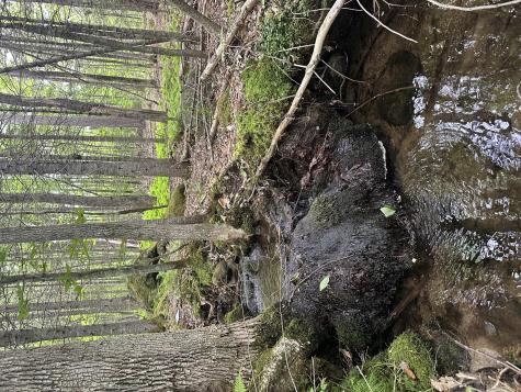 R13-023-b Hobbs Road Greenwood ME 04255