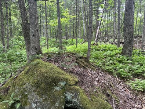 R13-023-b Hobbs Road Greenwood ME 04255