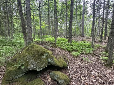 R13-023-b Hobbs Road Greenwood ME 04255