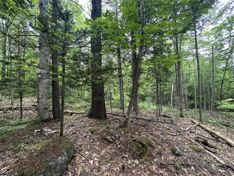 R13-023-b Hobbs Road Greenwood ME 04255