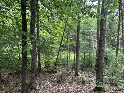 R13-023-b Hobbs Road Greenwood ME 04255