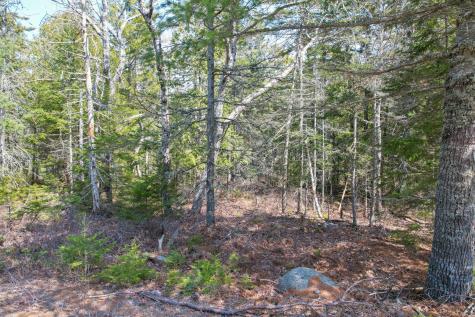Lot 2 Aspen Way Mount Desert ME 04660