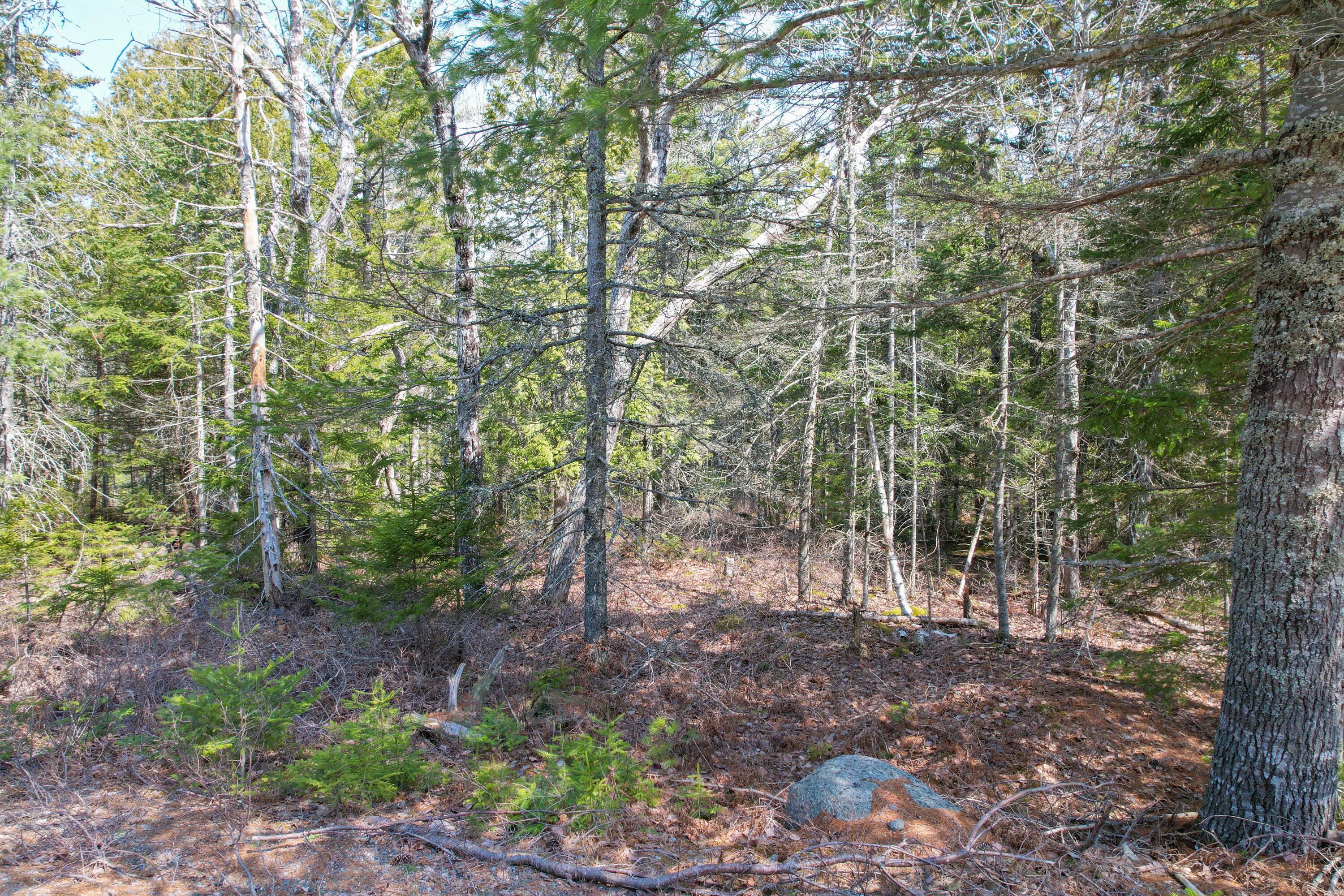 Lot 2 Aspen Way Mount Desert ME 04660
