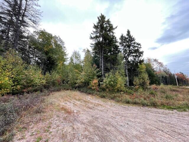 Lot #17-34 Dolly Head Estates Road Steuben ME 04680