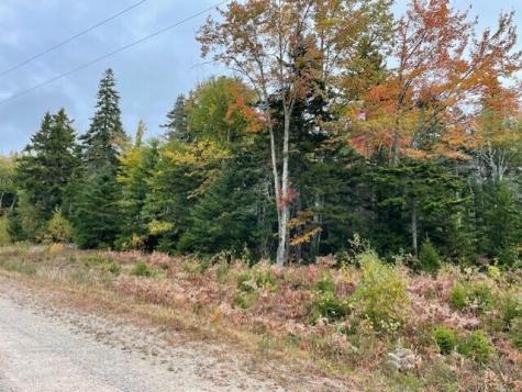 Lot #17-34 Dolly Head Estates Road Steuben ME 04680
