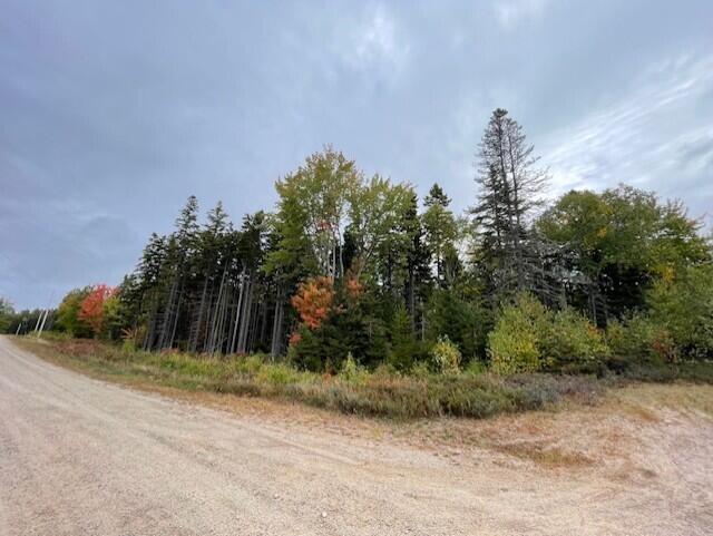Lot #17-34 Dolly Head Estates Road Steuben ME 04680