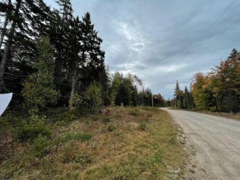 Lot #17-34 Dolly Head Estates Road Steuben ME 04680