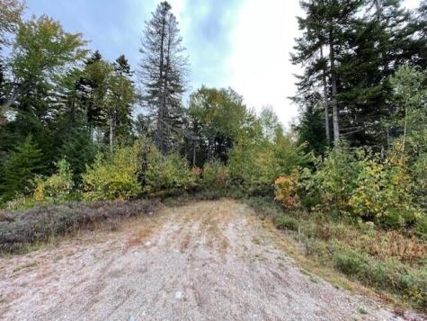 Lot #17-34 Dolly Head Estates Road Steuben ME 04680