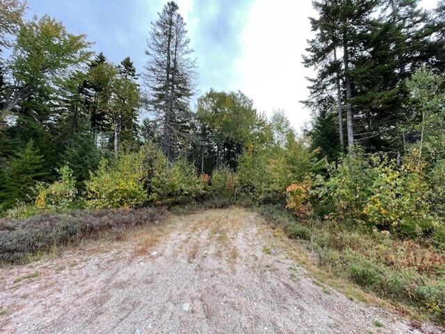 Lot #17-34 Dolly Head Estates Road Steuben ME 04680