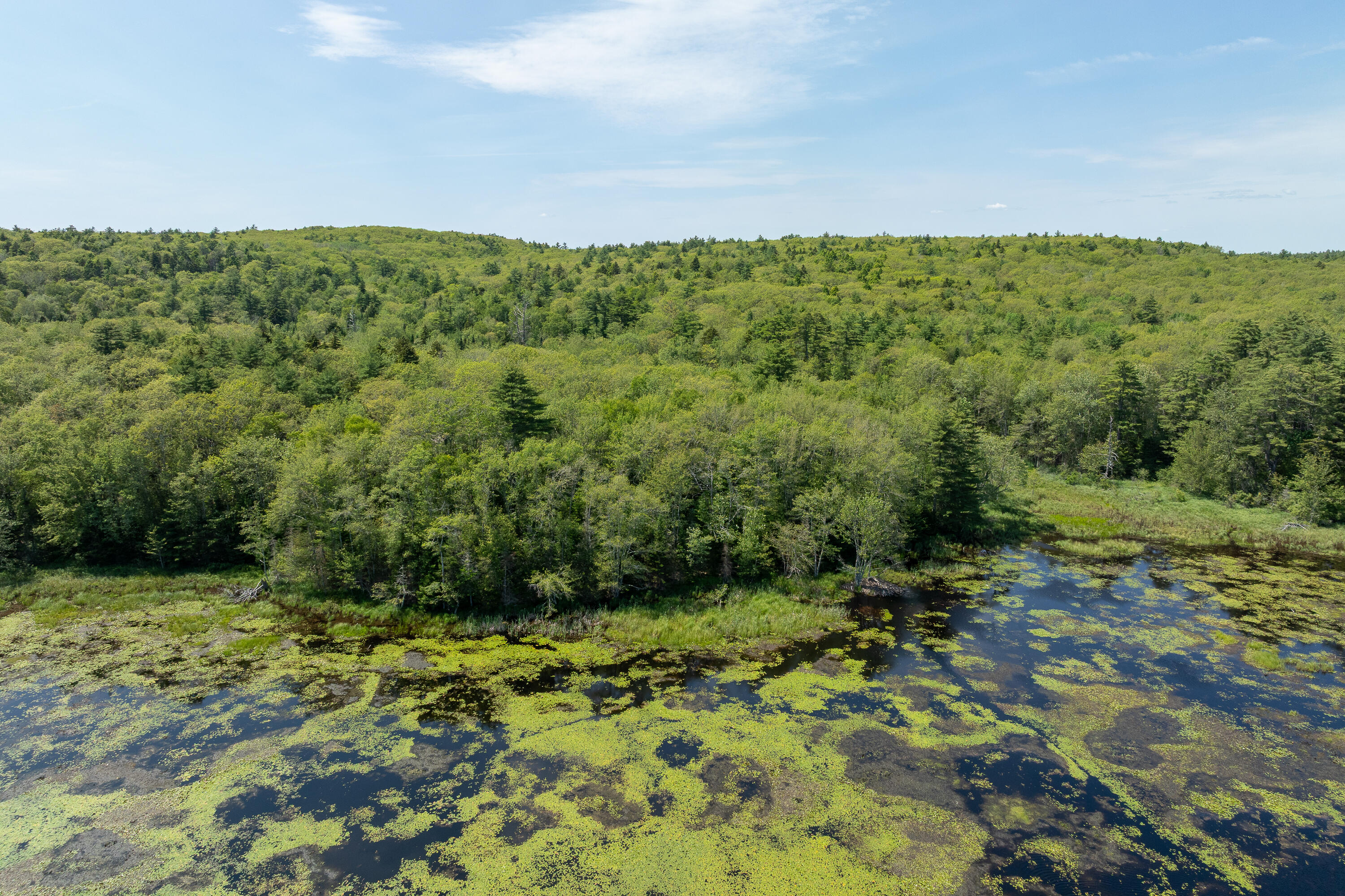 Lot 46 Carl Bailey Bristol ME 04539