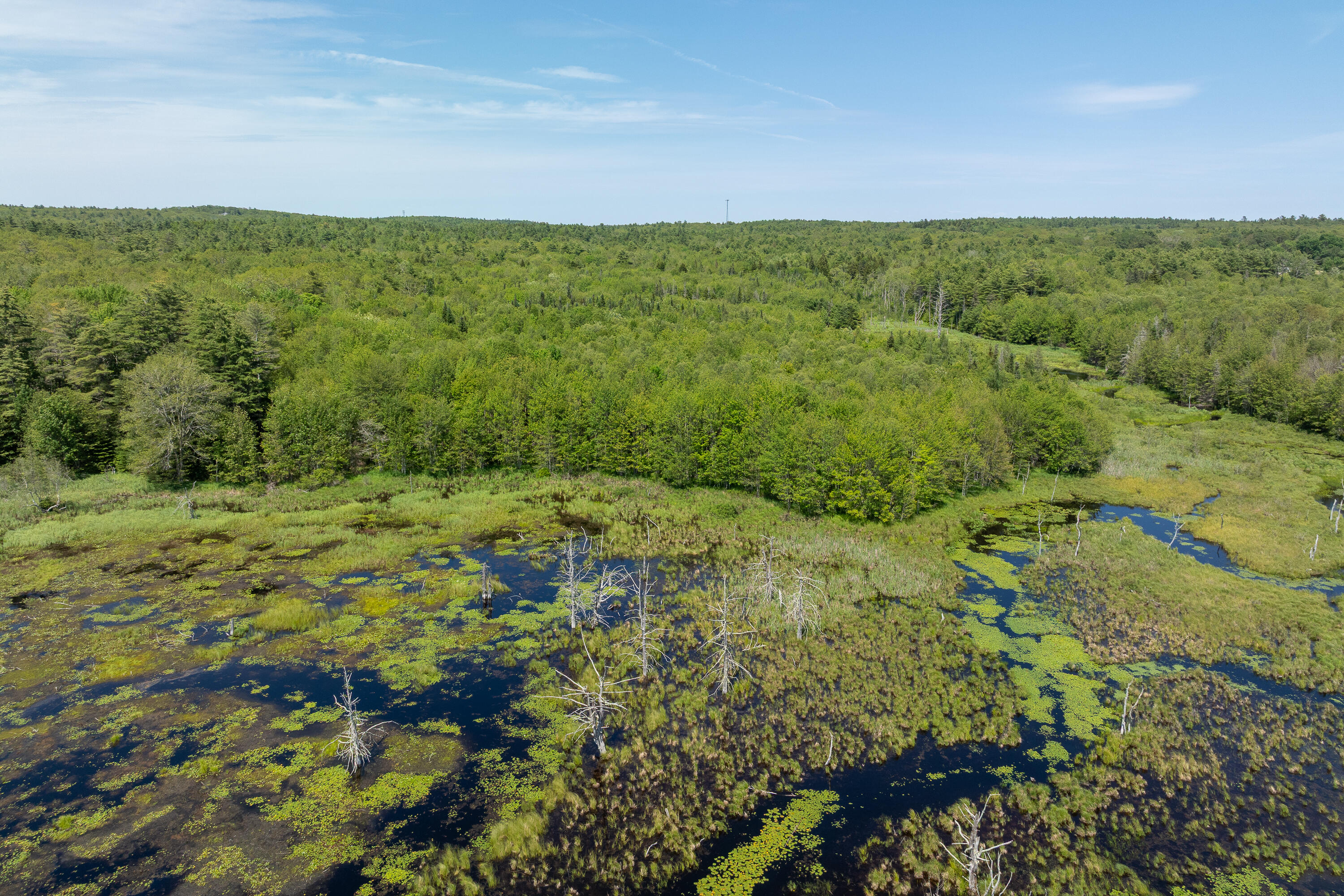 Lot 46 Carl Bailey Bristol ME 04539