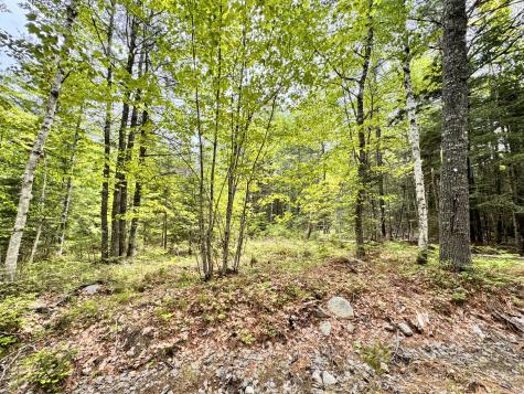 18-B Back Pasture Lane Blue Hill ME 04614