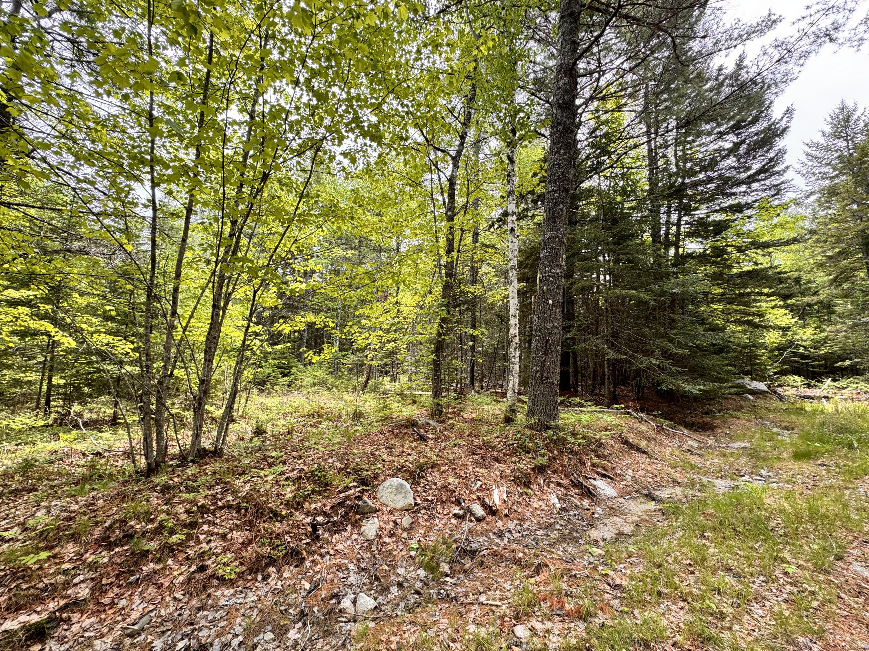 18-B Back Pasture Lane Blue Hill ME 04614