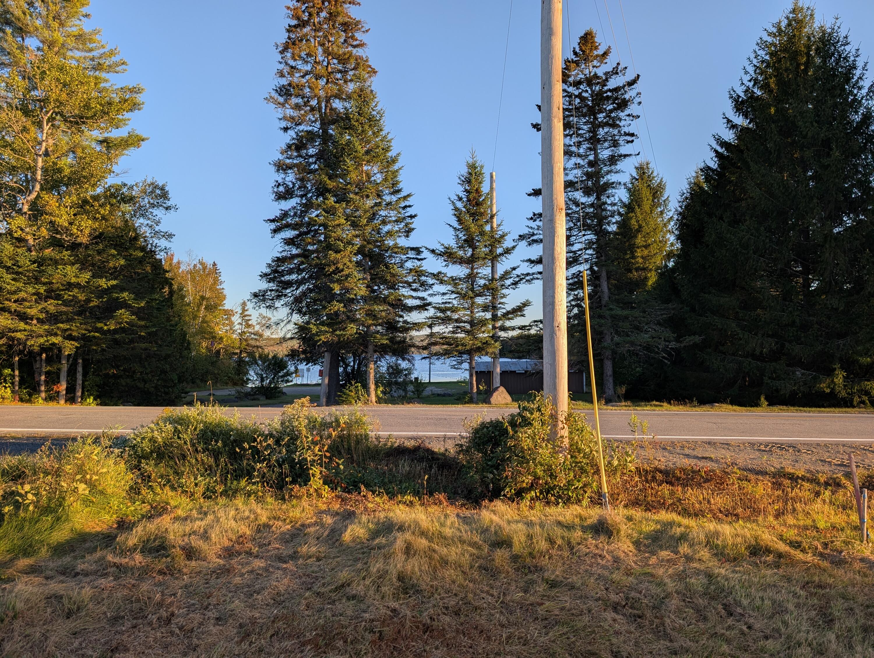 # Pond Road Abbot ME 04406