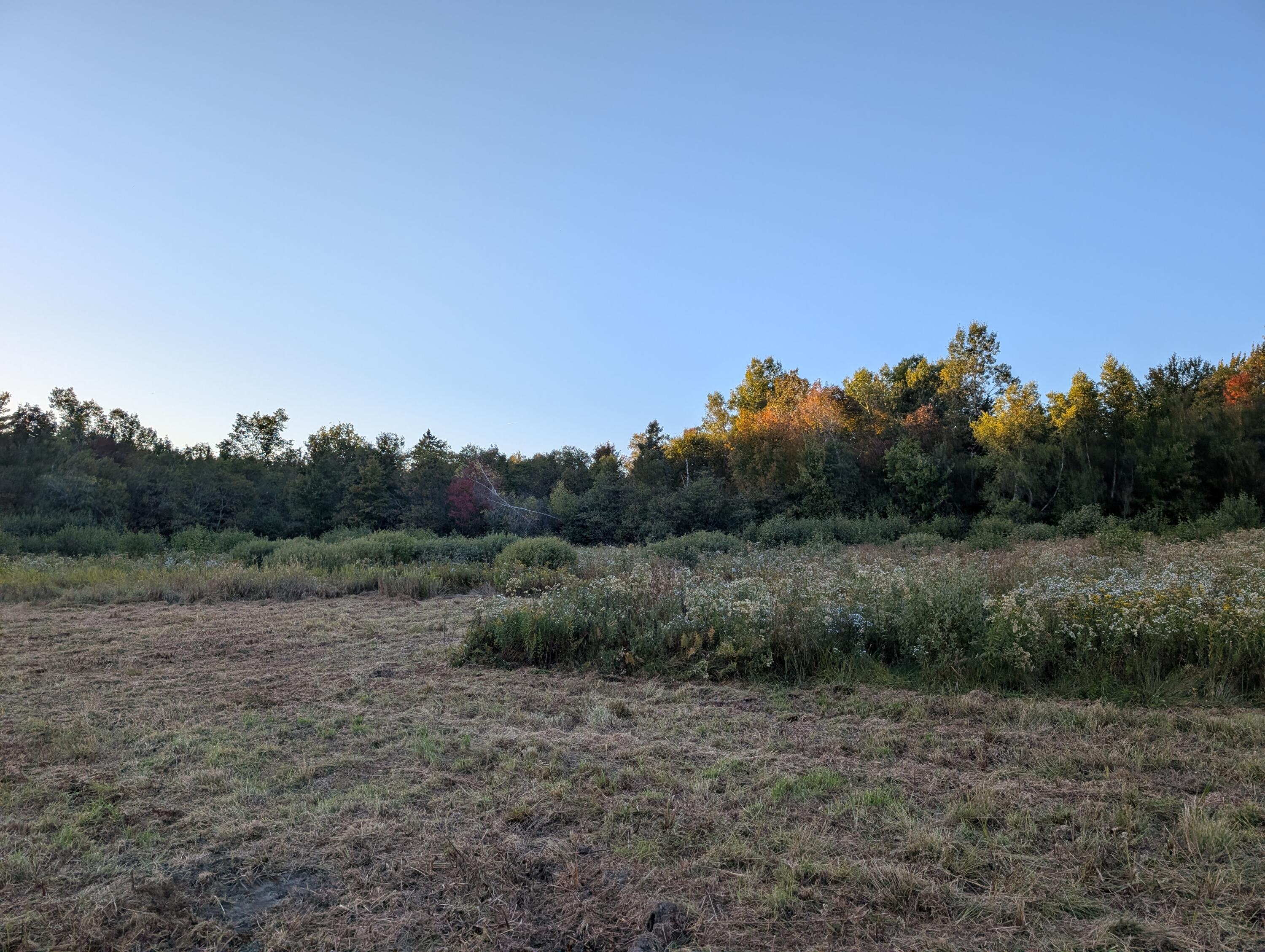 # Pond Road Abbot ME 04406