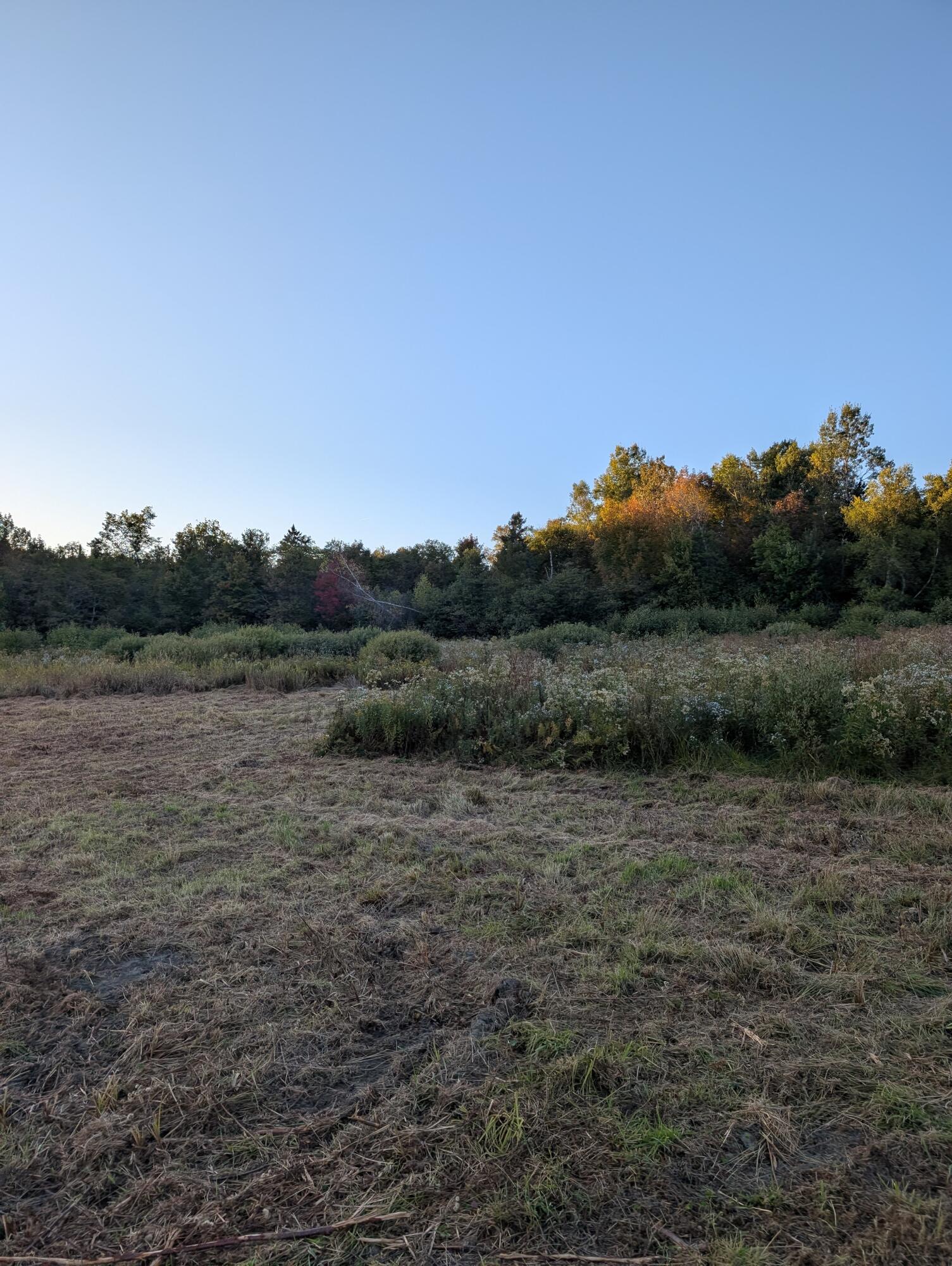 # Pond Road Abbot ME 04406