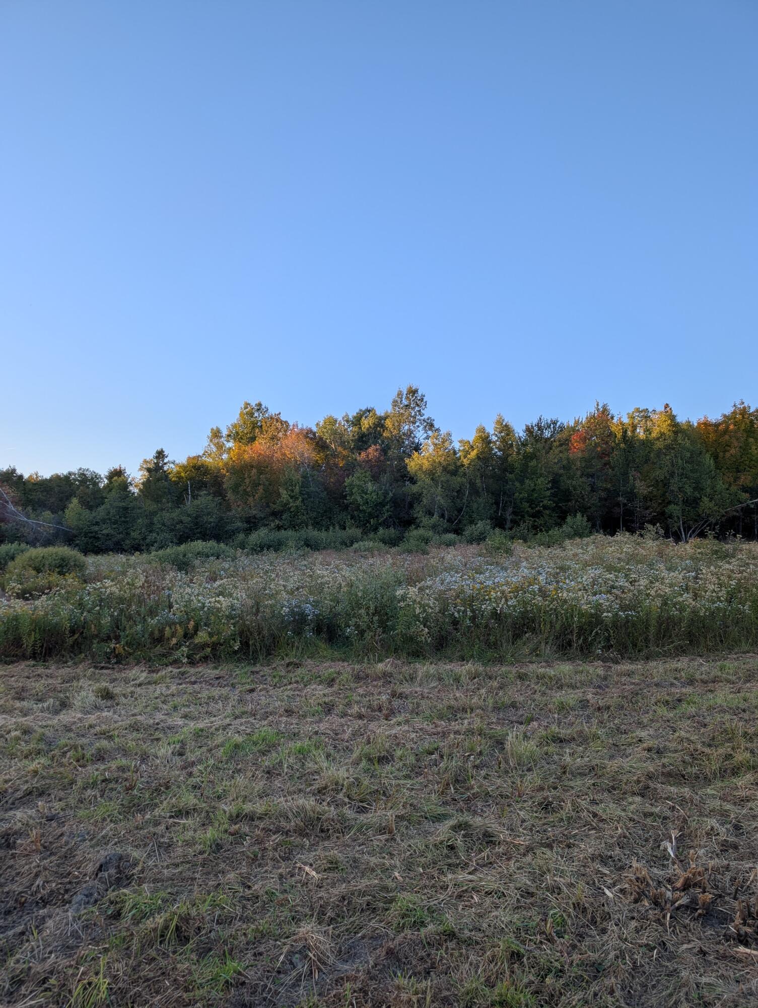 # Pond Road Abbot ME 04406