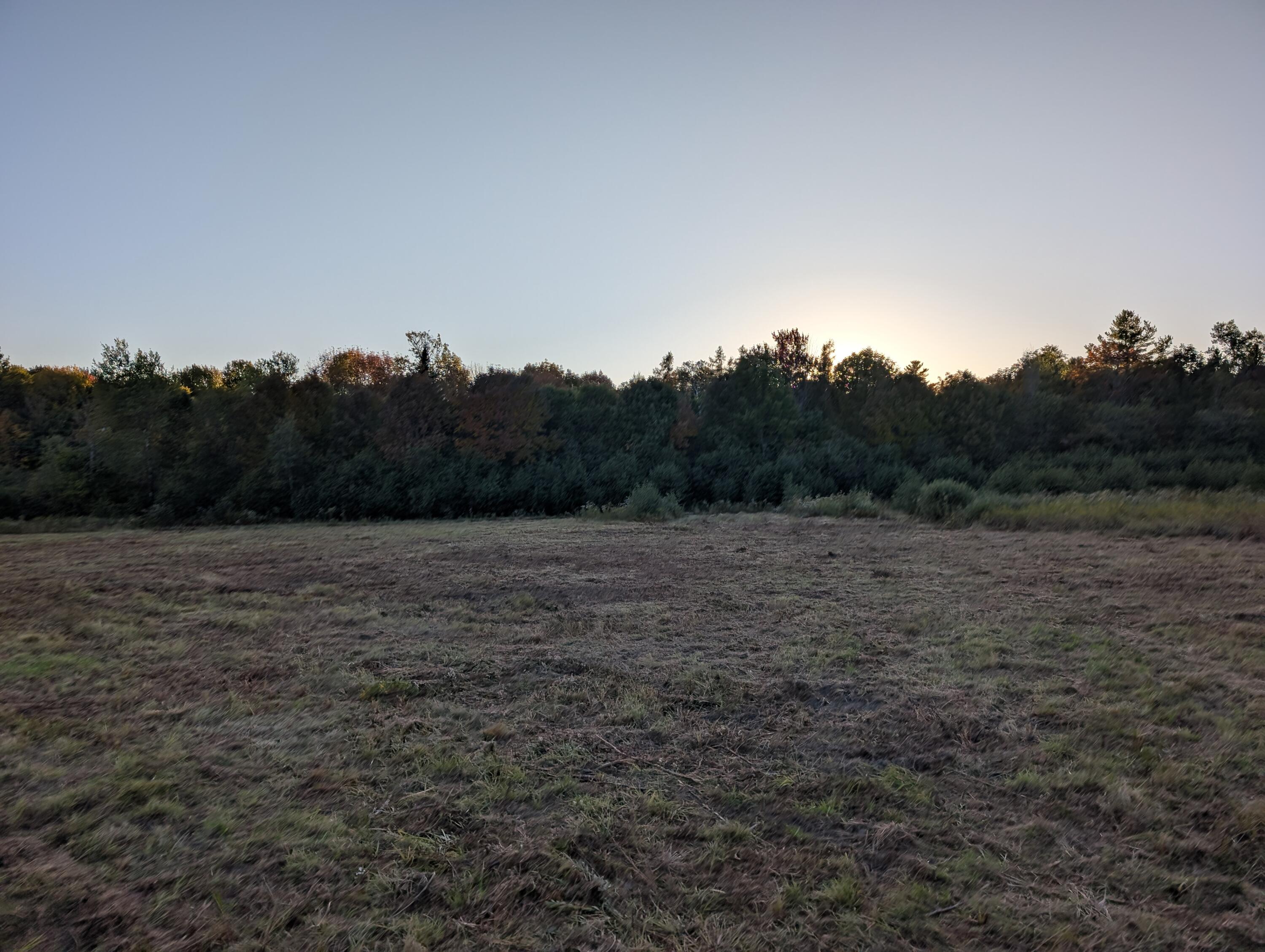 # Pond Road Abbot ME 04406