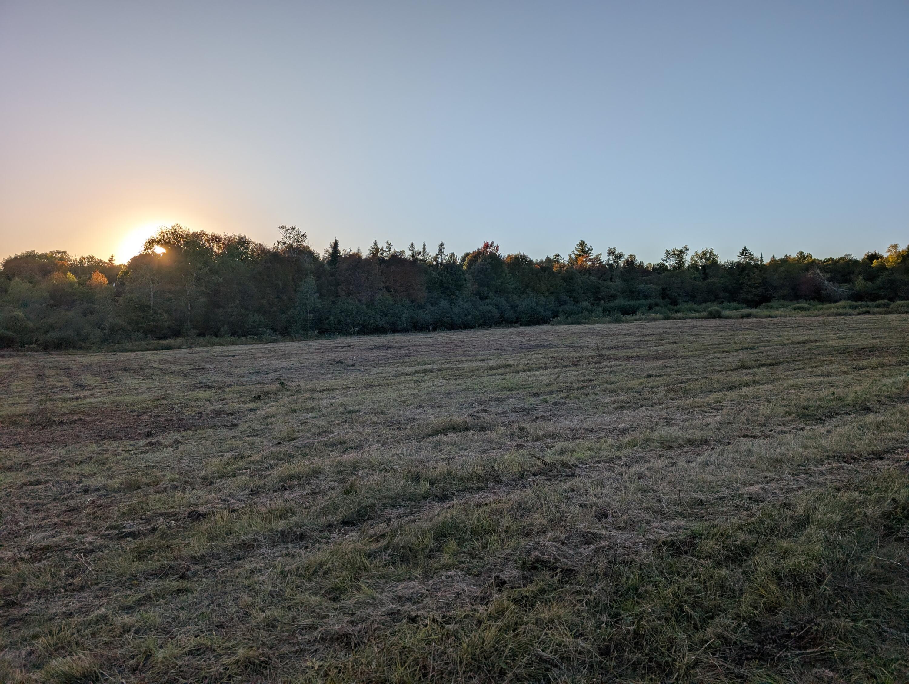 # Pond Road Abbot ME 04406