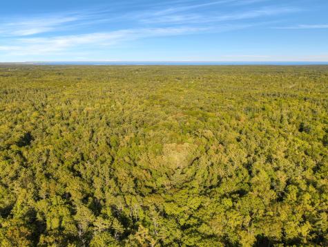 0016/001 Newhall Road Wells ME 04090