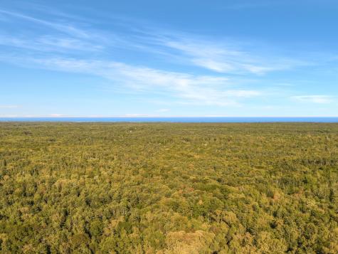 0016/001 Newhall Road Wells ME 04090