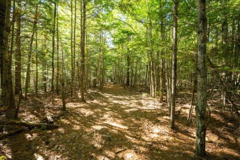 0 Dragonfly Drive Holden ME 04429