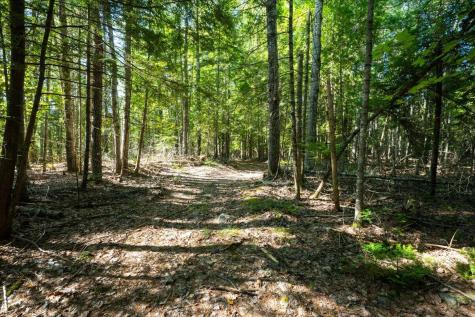 0 Dragonfly Drive Holden ME 04429