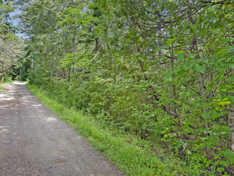 64 New Homestead Road Penobscot ME 04476