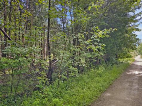 64 New Homestead Road Penobscot ME 04476