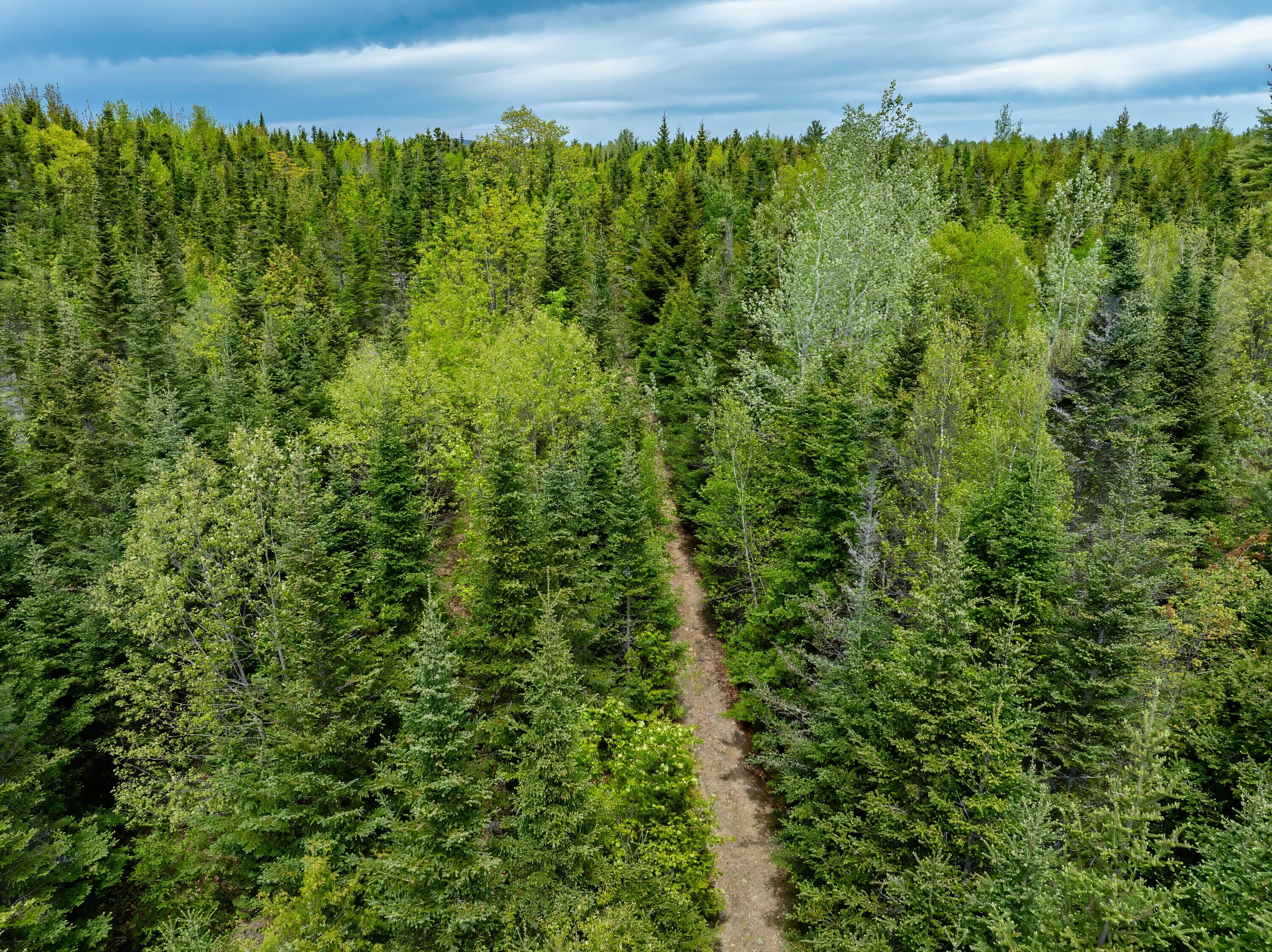 54 Emerson Preble Road Sullivan ME 04664