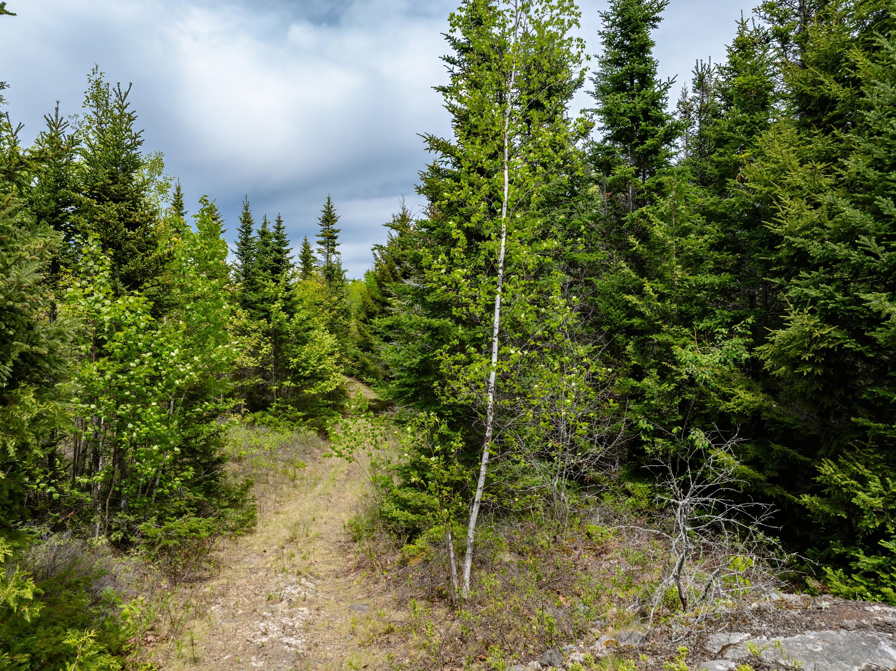 54 Emerson Preble Road Sullivan ME 04664