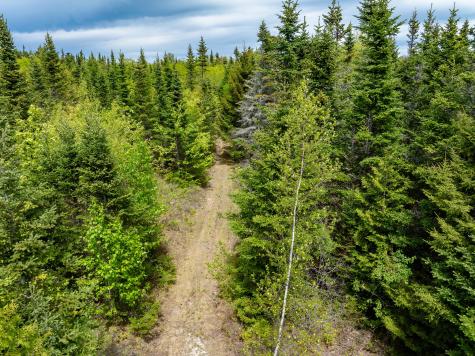 54 Emerson Preble Road Sullivan ME 04664