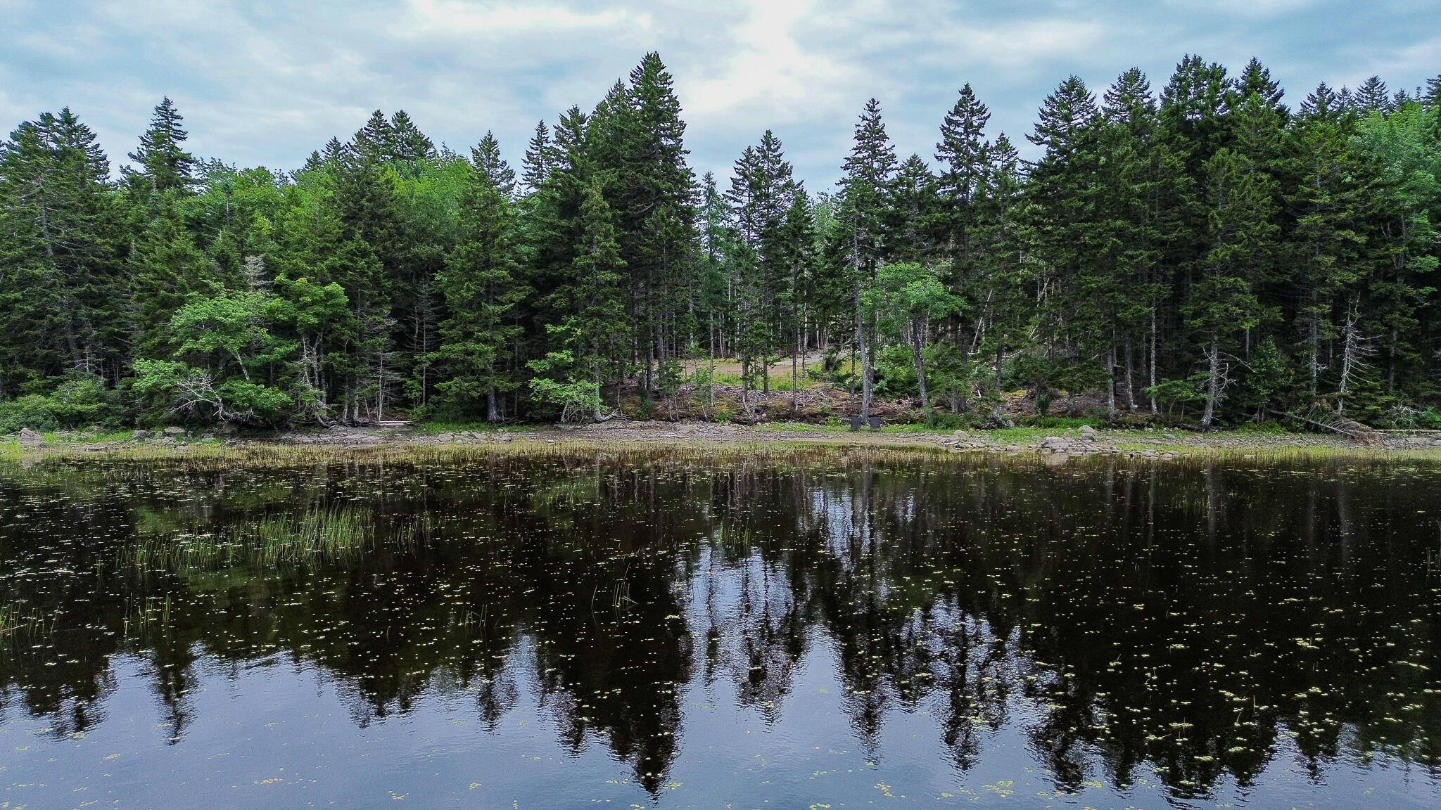 Lot 8 Cozy Cove Road Whiting ME 04691