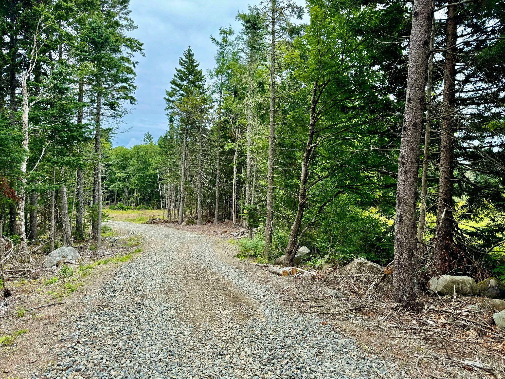 Lot 8 Cozy Cove Road Whiting ME 04691