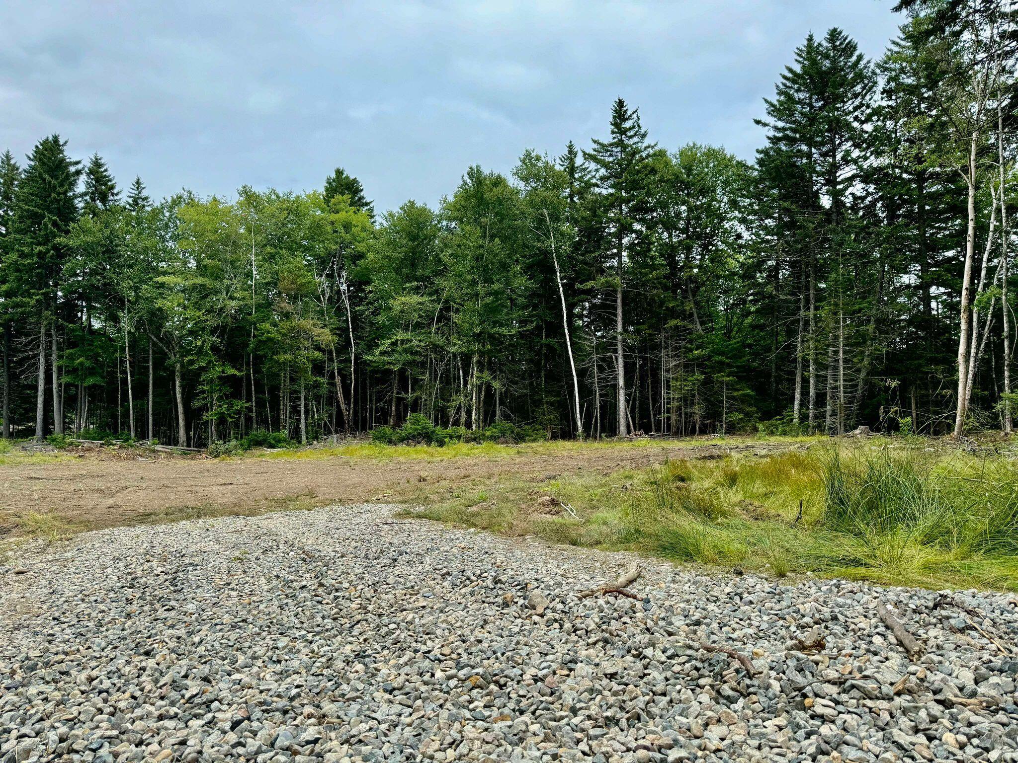 Lot 8 Cozy Cove Road Whiting ME 04691