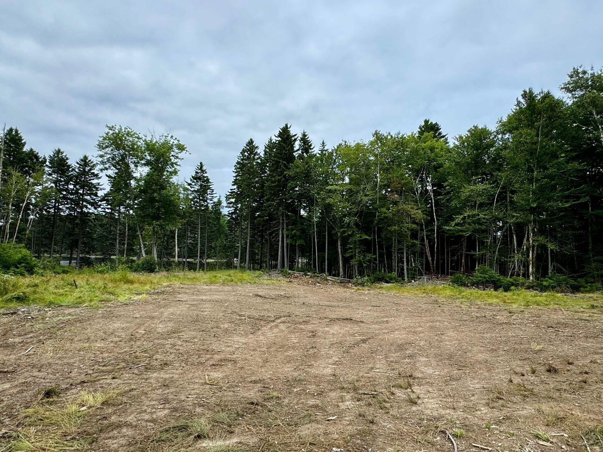 Lot 8 Cozy Cove Road Whiting ME 04691