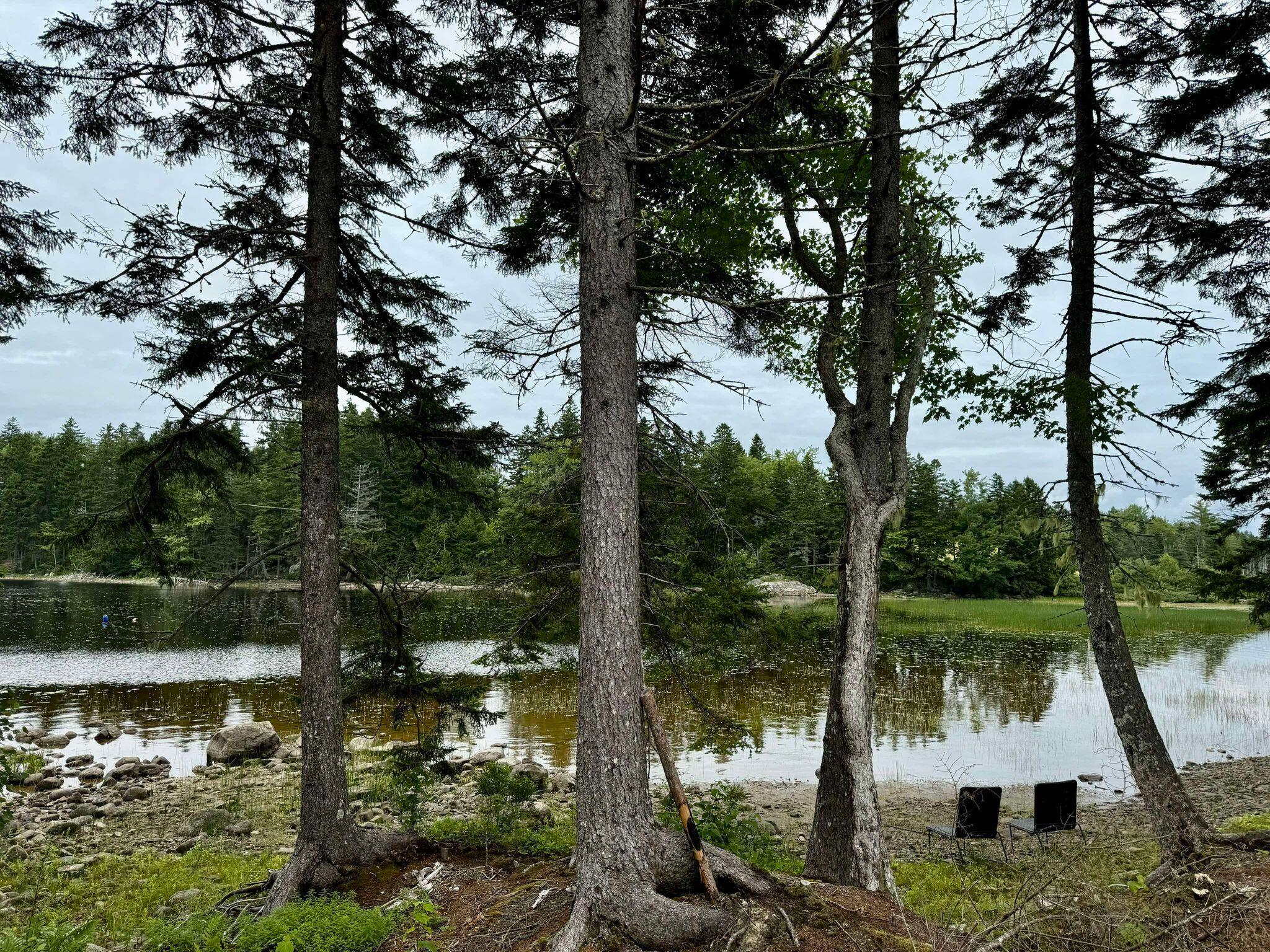 Lot 8 Cozy Cove Road Whiting ME 04691