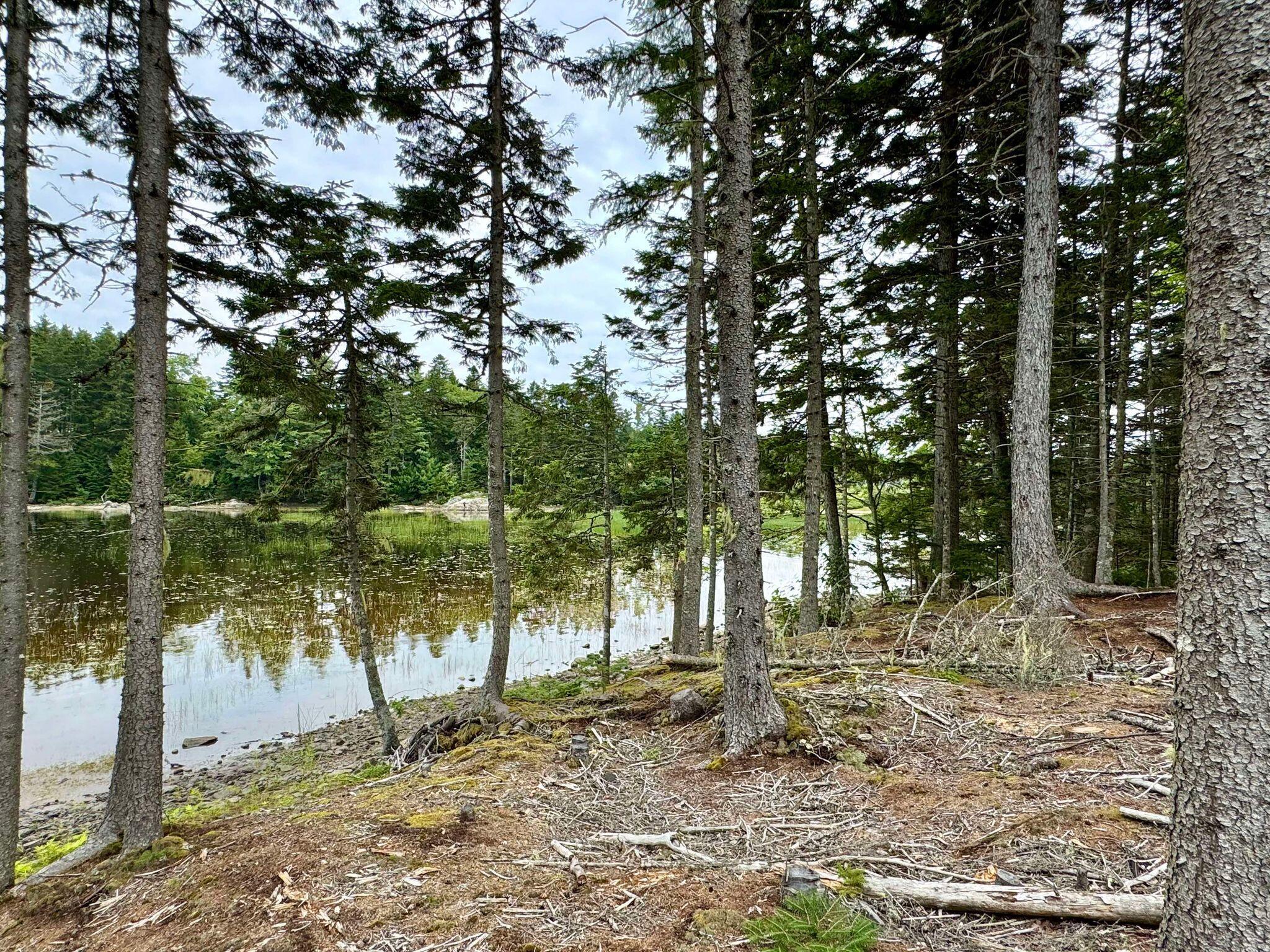 Lot 8 Cozy Cove Road Whiting ME 04691