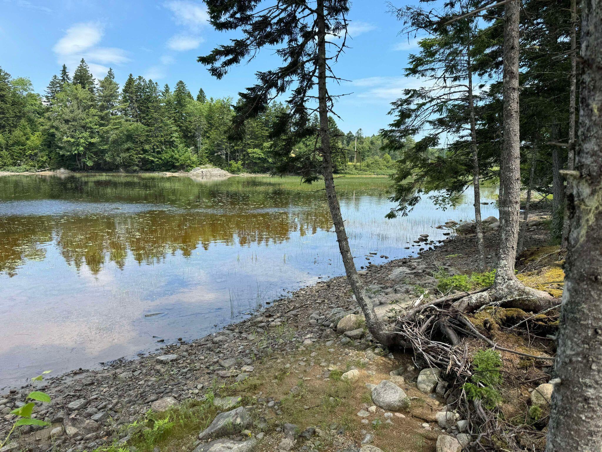 Lot 8 Cozy Cove Road Whiting ME 04691