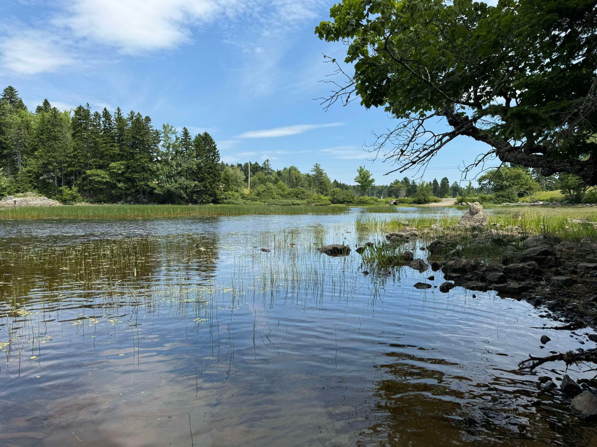 Lot 8 Cozy Cove Road Whiting ME 04691