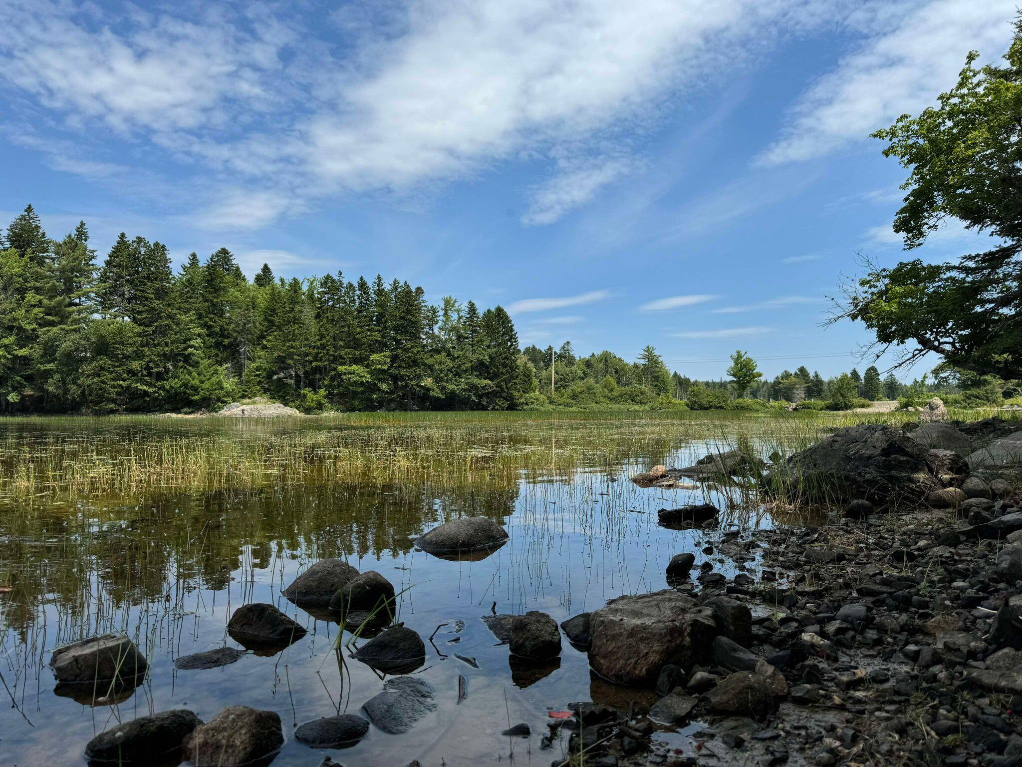 Lot 8 Cozy Cove Road Whiting ME 04691