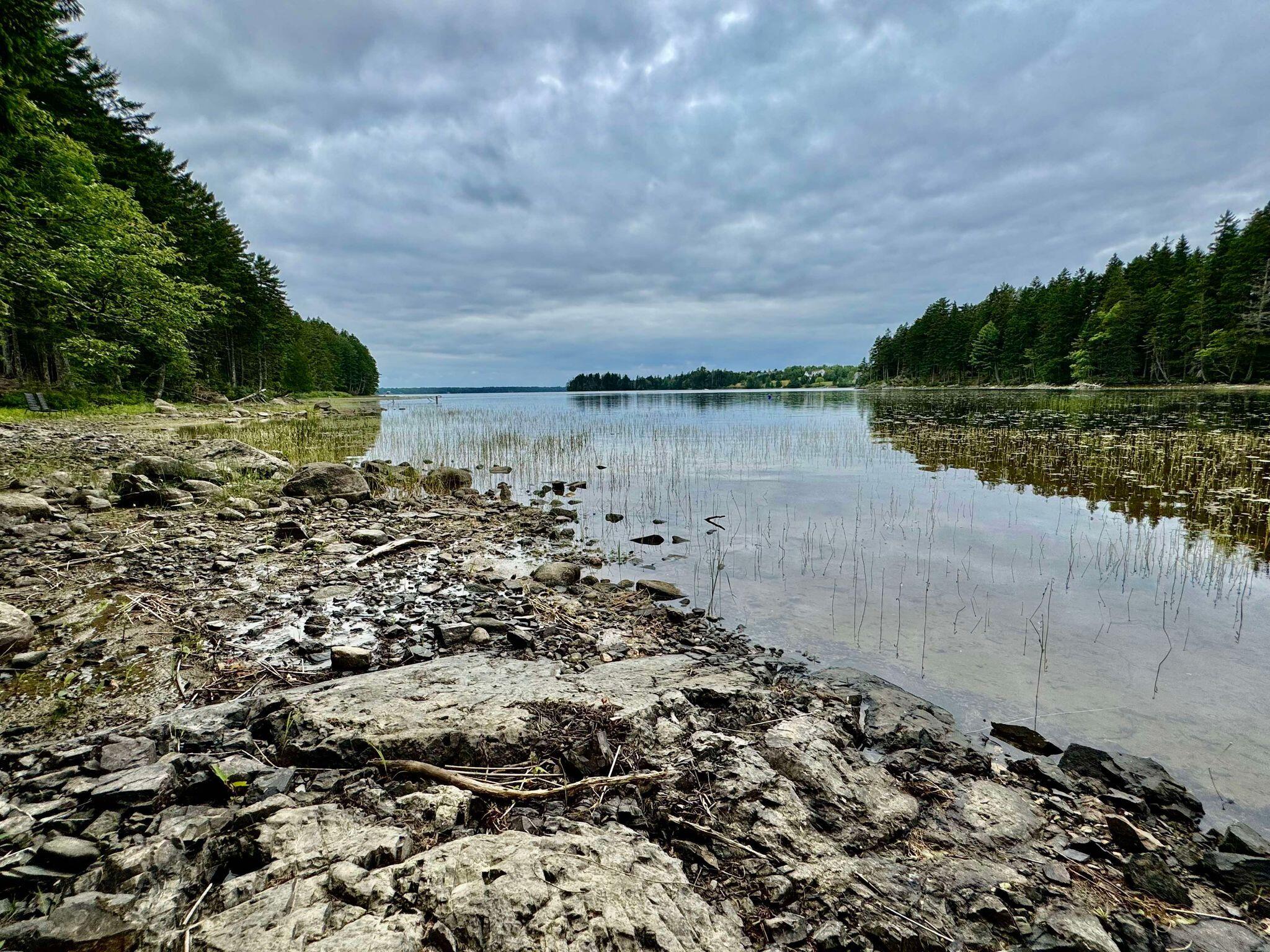 Lot 8 Cozy Cove Road Whiting ME 04691