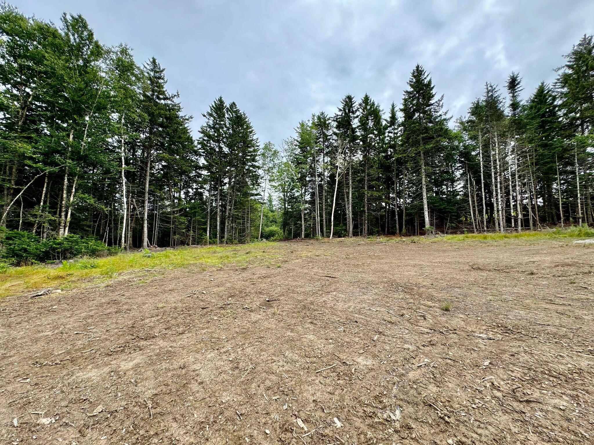 Lot 8 Cozy Cove Road Whiting ME 04691