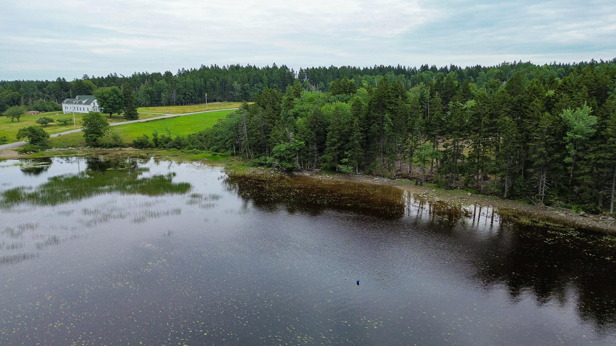 Lot 8 Cozy Cove Road Whiting ME 04691